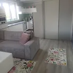 Modern Oasis