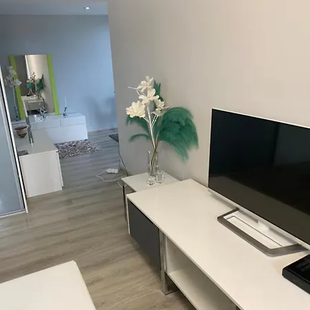 Modern Oasis Nova Lesna
