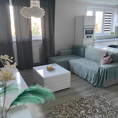 Modern Oasis Apartmán *