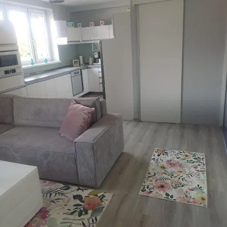 Modern Oasis