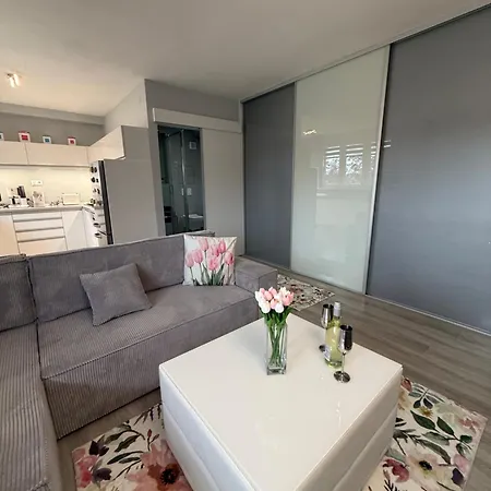 Modern Oasis *
